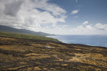 Lava field at the coast, Piton de la Fournaise, Le Grand Brule, Reunion Island by Panoramic Images