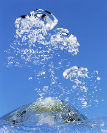 Churning bubbles rising upwards in blue water von Panoramic Images