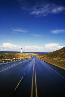 Road To Yaquina Head Lighthouse by Panoramic Images