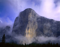 USA, California, Yosemite National Park von Panoramic Images