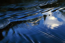 Sky and trees reflected in rippling stream, New York, USA. von Panoramic Images