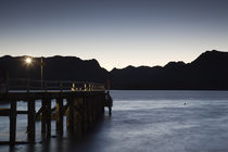 Pier at a lake von Panoramic Images