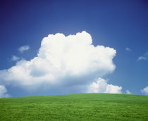 Clouds over a grassland by Panoramic Images