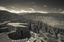 Ruins of a fortress by Panoramic Images