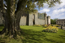 Killyleagh Castle, Co Down, Ireland by Panoramic Images