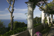 Balcony overlooking the sea, Villa San Michele, Capri, Naples, Campania, Italy von Panoramic Images