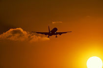 Silhouette of airliner in golden sunset by Panoramic Images