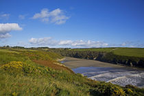 Stradbally Strand, The Copper Coast, County Waterford, Ireland von Panoramic Images