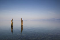 Wooden posts in a lake by Panoramic Images