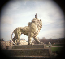 Pigeon perching on a statue, France von Panoramic Images