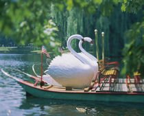 Swan boats in a lake, Boston Common, Boston, Massachusetts, USA by Panoramic Images