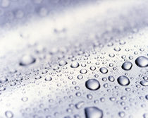 Close up of water droplets on lavender and white background von Panoramic Images