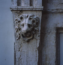 Close-up of a lion face carved on a wall, Rome, Italy von Panoramic Images