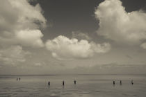 People fishing in a bay, Diamant Bay, Rodrigues Island, Mauritius by Panoramic Images