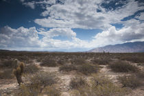 Clouds over a desert von Panoramic Images