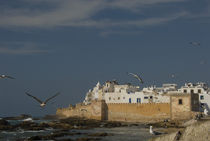 Ramparts of the ancient Skala du Port in the coastal city of Essaouira, Morocco von Panoramic Images