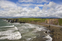 Ballydowane Cove on the Copper Coast, County Waterford, Ireland by Panoramic Images