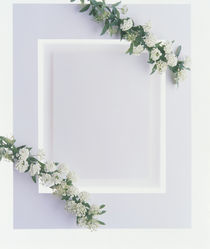 White plaster frame with greenery and white flowers in each corner by Panoramic Images