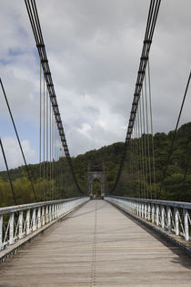 Suspension bridge in a valley, Pont des Anglais, St. Anne, Reunion Island by Panoramic Images