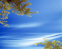 Autumn leaves in water by Panoramic Images