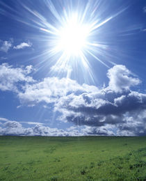 Sun shining over a field von Panoramic Images