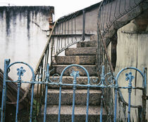 Iron gate of a staircase von Panoramic Images