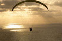 Paraglider flying in the sky over an ocean von Panoramic Images