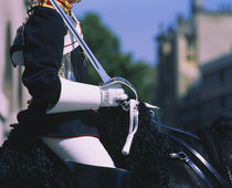 Side profile of a horse guardsman holding a sword, Whitehall, London, England by Panoramic Images