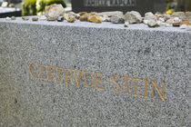 Grave of Gertrude Stein, Pere-Lachaise Cemetery, Paris, France by Panoramic Images