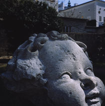 Close-up of a statue, Salzburg, Austria von Panoramic Images