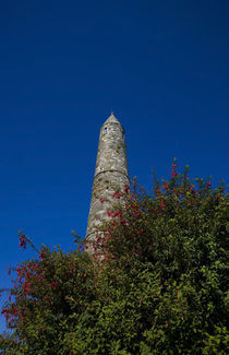 Round Tower and Fuschia in St Declan's 5th Century Monastic Site by Panoramic Images