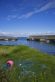 Fishing Boats, Helvick Port, Ring Gaelic Area, County Waterford, Ireland von Panoramic Images