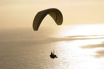 Silhouette of a paraglider flying over an ocean by Panoramic Images