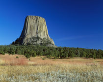 Devils' Tower, blue sky, Devils' Tower National Monument, Wyoming, USA. von Panoramic Images