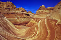 The Wave bordering blue sky, Paria Wilderness Area, Utah, USA. by Panoramic Images