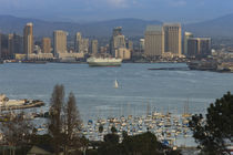 Harbor and city viewed from Point Loma by Panoramic Images