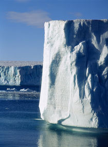 Iceberg floating on water by Panoramic Images