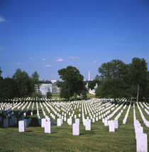 Tombstones in a graveyard, Arlington National Cemetery, Washington DC, USA by Panoramic Images