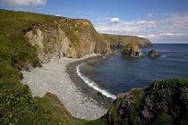 Lady's Cove, Copper Coast , County Waterford, Ireland by Panoramic Images