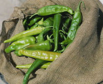 Close-up of green chilli peppers von Panoramic Images