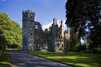 The Ruins of 16th Century Mallow Castle, Mallow, County Cork, Ireland by Panoramic Images