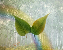 Two green leaves floating in foggy forest with rainbow by Panoramic Images
