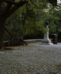 Monument in a park by Panoramic Images