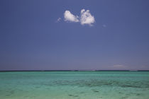 Panoramic view of the sea, Le Morne Brabant, Mauritius by Panoramic Images
