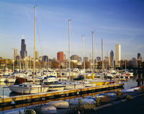 Boats in a row at a marina, Chicago, Illinois, USA by Panoramic Images