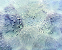 Close up of water droplets on pale blue glass by Panoramic Images