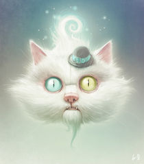 The Odd Kitty by Lukas Brezak