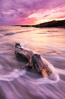 Ocean Sunset by Moe Chen