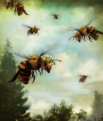Crown of Bees by Rachael Shankman