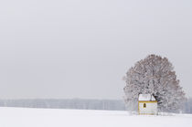 Frosty morning in the Bavarian countryside. von Tom Hanslien